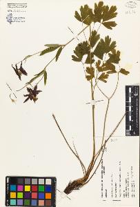 SW_BNB_s3080-01295_IMG-0000000001