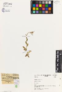 SW_BNB_s3080-01307_IMG-0000000001