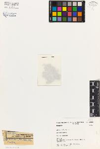 SW_BNB_s3080-01308_IMG-0000000001