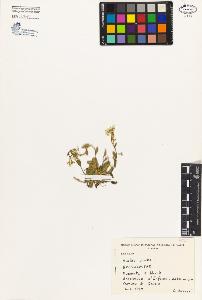 SW_BNB_s3080-01309_IMG-0000000001