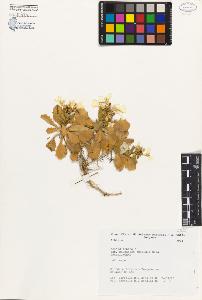 SW_BNB_s3080-01310_IMG-0000000001