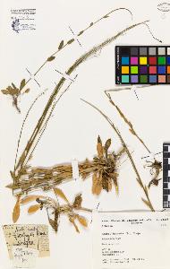 SW_BNB_s3080-01317_IMG-0000000001