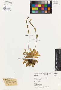 SW_BNB_s3080-01319_IMG-0000000001