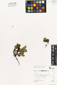 SW_BNB_s3080-01335_IMG-0000000001