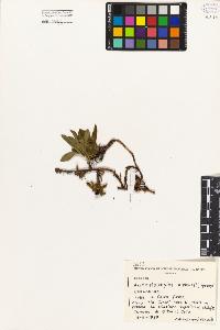 SW_BNB_s3080-01336_IMG-0000000001
