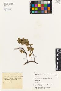 SW_BNB_s3080-01337_IMG-0000000001