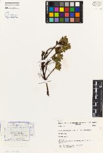 SW_BNB_s3080-01339_IMG-0000000001