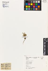 SW_BNB_s3080-01341_IMG-0000000001
