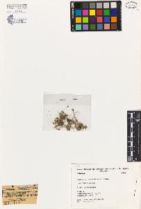 SW_BNB_s3080-01343_IMG-0000000001