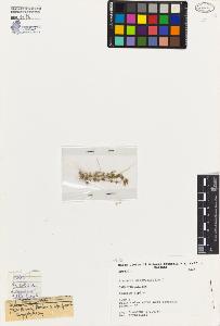 SW_BNB_s3080-01344_IMG-0000000001