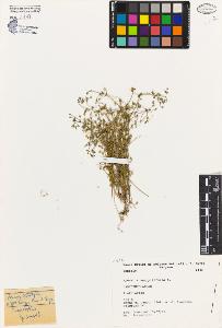 SW_BNB_s3080-01346_IMG-0000000001