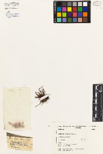SW_BNB_s3080-01357_IMG-0000000001