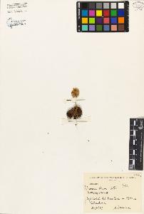SW_BNB_s3080-01358_IMG-0000000001