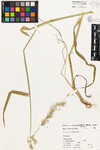 SW_BNB_s3080-01362_IMG-0000000001