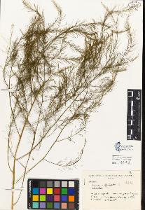 SW_BNB_s3080-01379_IMG-0000000001