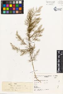 SW_BNB_s3080-01381_IMG-0000000001