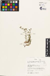 SW_BNB_s3080-01384_IMG-0000000001