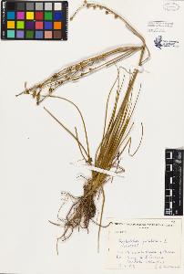 SW_BNB_s3080-01394_IMG-0000000001