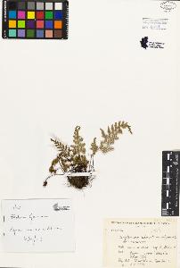SW_BNB_s3080-01396_IMG-0000000001