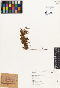 SW_BNB_s3080-01398_IMG-0000000001
