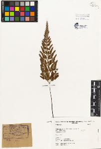 SW_BNB_s3080-01400_IMG-0000000001