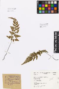 SW_BNB_s3080-01401_IMG-0000000001