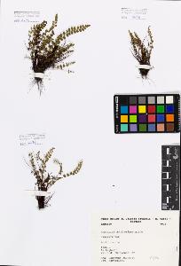 SW_BNB_s3080-01403_IMG-0000000001