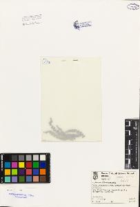 SW_BNB_s3080-01405_IMG-0000000001