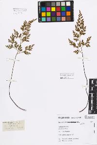 SW_BNB_s3080-01407_IMG-0000000001