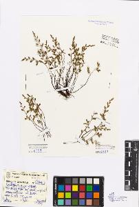 SW_BNB_s3080-01411_IMG-0000000001