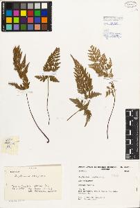 SW_BNB_s3080-01415_IMG-0000000001