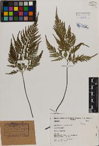 SW_BNB_s3080-01416_IMG-0000000001