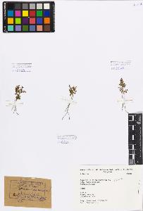 SW_BNB_s3080-01419_IMG-0000000001