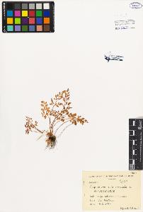 SW_BNB_s3080-01421_IMG-0000000001