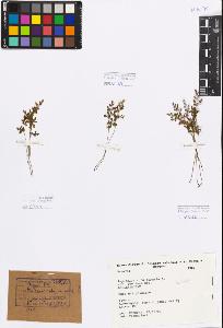 SW_BNB_s3080-01424_IMG-0000000001