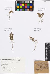 SW_BNB_s3080-01425_IMG-0000000001