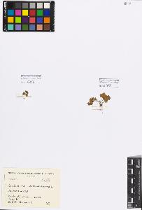 SW_BNB_s3080-01427_IMG-0000000001
