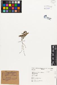 SW_BNB_s3080-01428_IMG-0000000001