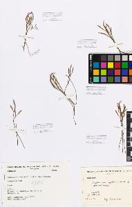 SW_BNB_s3080-01435_IMG-0000000001