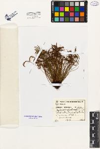 SW_BNB_s3080-01438_IMG-0000000001