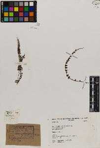 SW_BNB_s3080-01439_IMG-0000000001