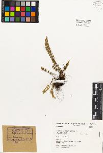 SW_BNB_s3080-01440_IMG-0000000001