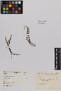 SW_BNB_s3080-01441_IMG-0000000001