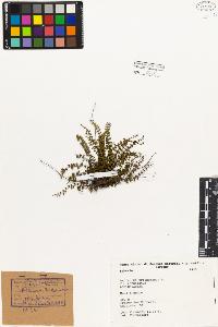 SW_BNB_s3080-01446_IMG-0000000001