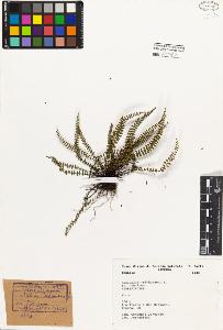 SW_BNB_s3080-01447_IMG-0000000001