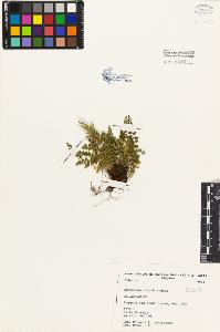 SW_BNB_s3080-01450_IMG-0000000001