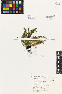 SW_BNB_s3080-01451_IMG-0000000001