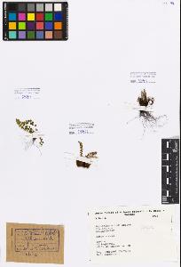 SW_BNB_s3080-01452_IMG-0000000001