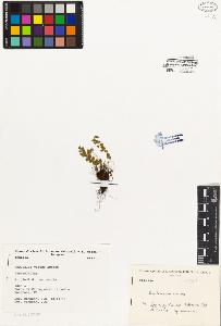 SW_BNB_s3080-01456_IMG-0000000001