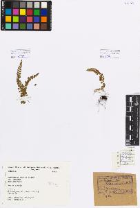 SW_BNB_s3080-01457_IMG-0000000001